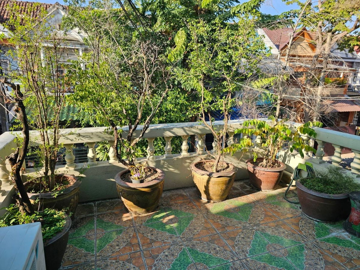 picture #R8525 🎉 301268 House for Rent, Sikharin Village, Ramkhamhaeng 24 - 12/12