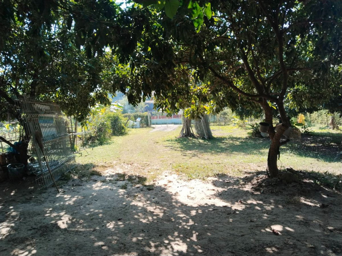 รูป ขายบ้านสวนในซอยสเต๊กผาป่อง ถนน ดอยสะเก็ดเชียงราย - รูปที่ 9/12