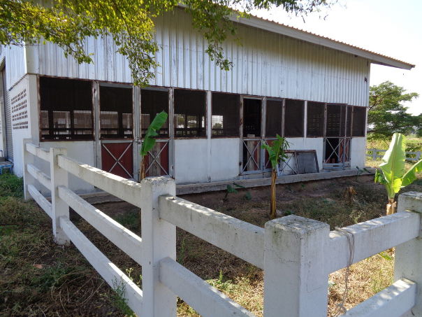 รูป 🚩 ขายที่ดิน พร้อมฟาร์มปศุสัตว์โครงสร้างครบ ขนาด 26 – 3 -19 ไร่ ตำบลสระจระเข้ อำเภอด่านขุนทด นครราชสีมา - รูปที่ 75/97