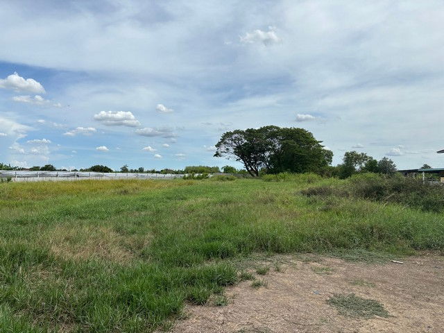 picture FOR RENT  LAND PROPERTY  99000 BAHT per MONTH - 2/8