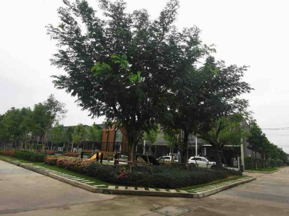 รูป 🏠 ให้เช่าบ้าน : VERVE Rama 9 (เวิร์ฟ พระราม 9)   รหัสทรัพย์ | 📌LNP-H366  - รูปที่ 15/20