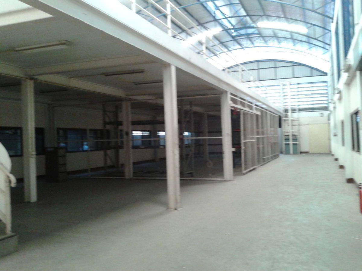 รูป โกดัง พร้อม ออฟฟิส ให้เช่า 1184 ตร.ม. สุขุมวิท 105 ลาซาล 54 เข้าซอย 50 เมตร. ใกล้ทางด่วนบางนา-ตราด BTS สนามบินสุวรรณภูมิ ตลาด ร้านสะดวกซื้อ  - รูปที่ 5/6