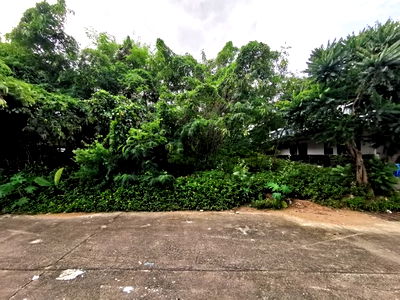 ที่ดิน สนามบินอุบลราชธานี : BP00869 ขายที่ดินว่างเปล่า ตำบลในเมือง อำเภอเมืองอุบลราชธานี อุบลราชธานี