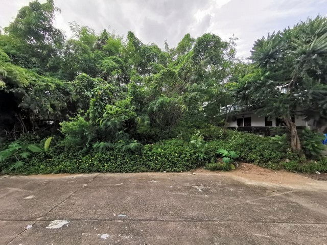 รูป BP00869 ขายที่ดินว่างเปล่า ตำบลในเมือง อำเภอเมืองอุบลราชธานี อุบลราชธานี - รูปที่ 1/8