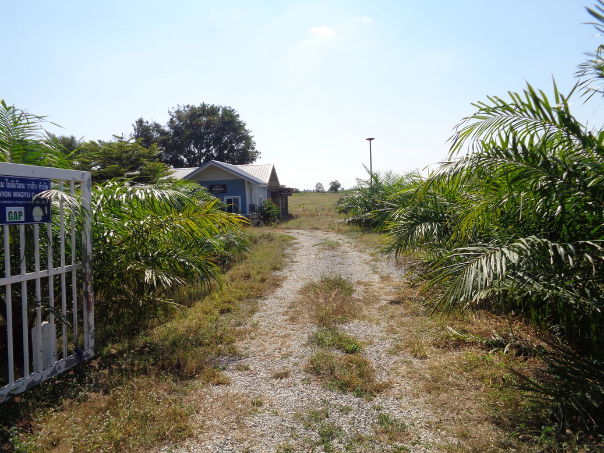 รูป 🚩 ขายที่ดิน พร้อมฟาร์มปศุสัตว์โครงสร้างครบ ขนาด 26 – 3 -19 ไร่ ตำบลสระจระเข้ อำเภอด่านขุนทด นครราชสีมา - รูปที่ 37/97