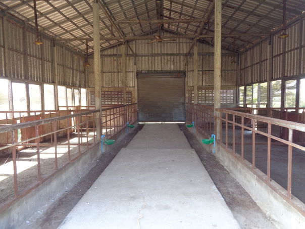 รูป 🚩 ขายที่ดิน พร้อมฟาร์มปศุสัตว์โครงสร้างครบ ขนาด 26 – 3 -19 ไร่ ตำบลสระจระเข้ อำเภอด่านขุนทด นครราชสีมา - รูปที่ 79/97