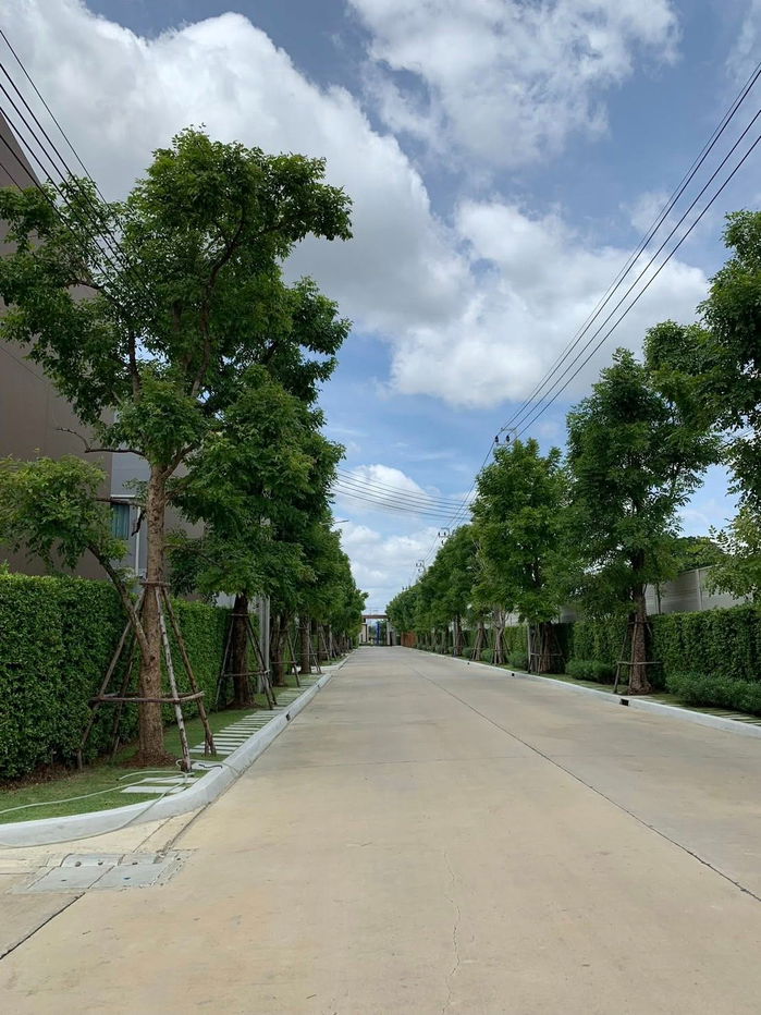 รูป 🏠 ให้เช่าบ้าน : Baan Klang Muang Ratchaphruek (บ้านกลางเมือง ราชพฤกษ์)   รหัสทรัพย์ | 📌LNP-H735 - รูปที่ 9/21