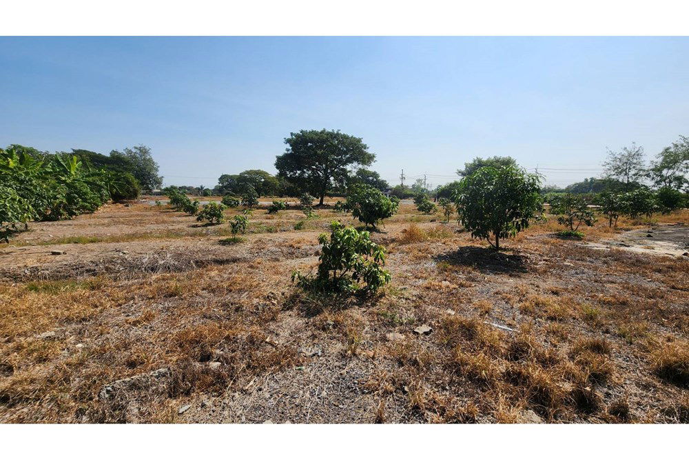 รูป [920311006-288] LAND FOR SALE in Pathum Thani-Khlong 6 Province - รูปที่ 11/18