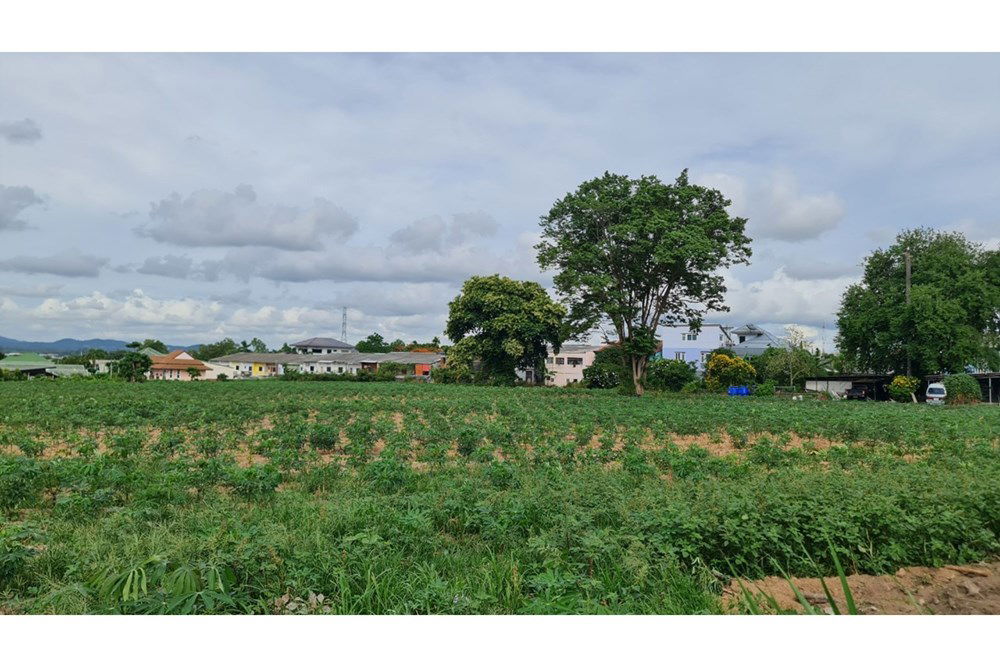 รูป [920311006-248] ขายที่ดินพัทยากลาง เขาน้อย-ซอยบุญสัมพันธ์ - รูปที่ 20/20