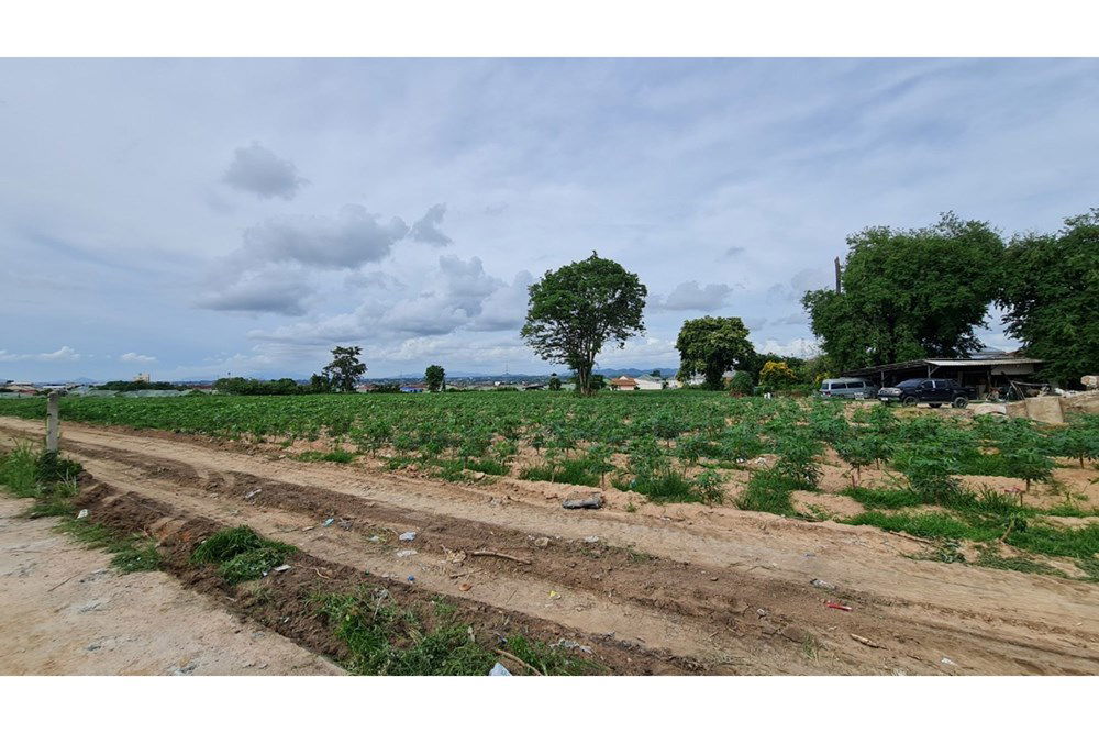 รูป [920311006-248] ขายที่ดินพัทยากลาง เขาน้อย-ซอยบุญสัมพันธ์ - รูปที่ 19/20