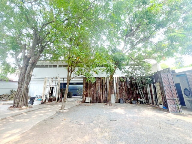 รูป เช่า-ขายที่ดินพร้อม ตลาดเอกมัย 1กม.1,725ตร.มซ.สุขุมวิท 47-51 อาคาร 2 ชั้น 1ไร่ 35 ตร.วา.ทองหล่อ 21-25MRT รฟม.1.6 กม.วิวสวน 5 นอน 5 น้ำ - รูปที่ 1/8