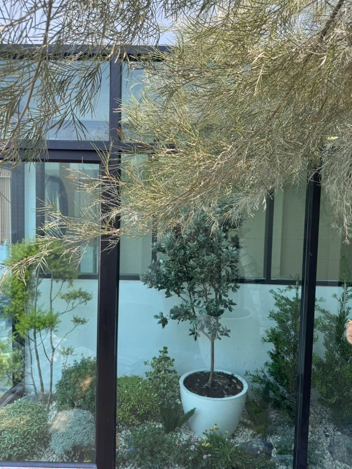 รูป ทาวน์โฮม ตกแต่งรีโนเวทใหม่ทั้งหมด สไตล์ Modern Luxury ในซอยลาดพร้าว 93 ทำเลดี สามารถออกซอยลาดพร้าว101 แยก19 ตกแต่งรีโนเวทใหม่ ใกล้รถไฟฟ้าสายสีเหลือง - รูปที่ 6/15