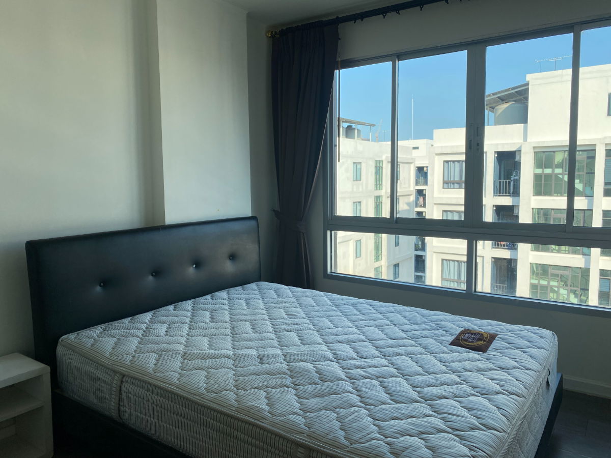 picture [🔥 Available] dcondo Campus Resort Rangsit for Rent near Thammasat University - 8/29