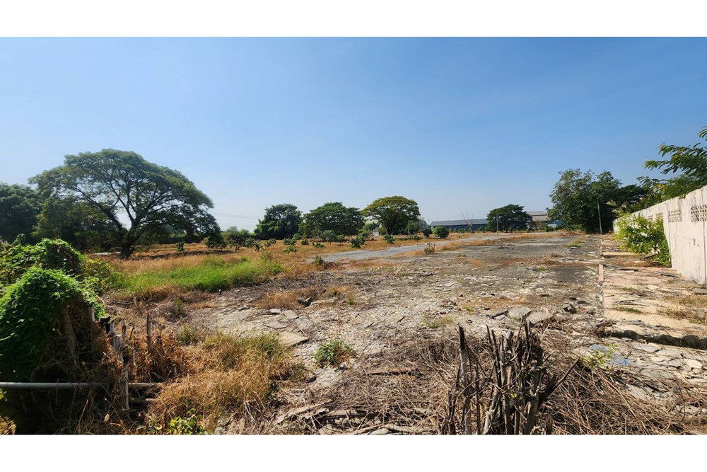 รูป [920311006-288] LAND FOR SALE in Pathum Thani-Khlong 6 Province - รูปที่ 10/18