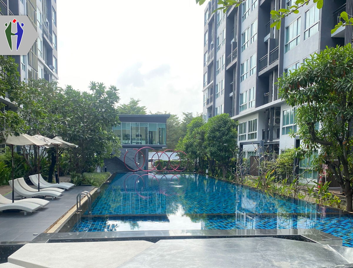 รูป คอนโดให้เช่า พัทยาเหนือ เนทูเรซ่า  1 ห้องนอน จะว่าง 1/02/26 - รูปที่ 8/8