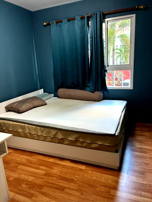 คอนโดให้เช่า : ให้เช่าคอนโด the trust นครปฐม วิวสวน