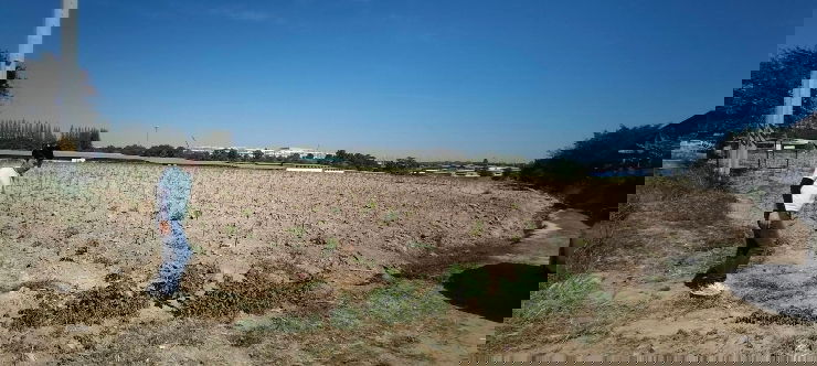 รูป #ขายที่ดินติดถนนมาบยางพร
แถวๆตลาดบึงประดิษฐ์
#สีม่วงเข้มแปลงสี่เหลี่ยมสวยๆครับ
จำนวน 20 ไร่ 2 งาน 74 ตรว.🥰
- รูปที่ 8/10