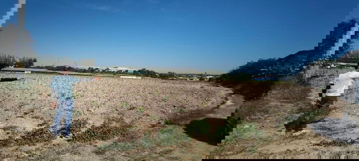 รูป #ขายที่ดินติดถนนมาบยางพร
แถวๆตลาดบึงประดิษฐ์
#สีม่วงเข้มแปลงสี่เหลี่ยมสวยๆครับ
จำนวน 20 ไร่ 2 งาน 74 ตรว.🥰
- รูปที่ 5/10