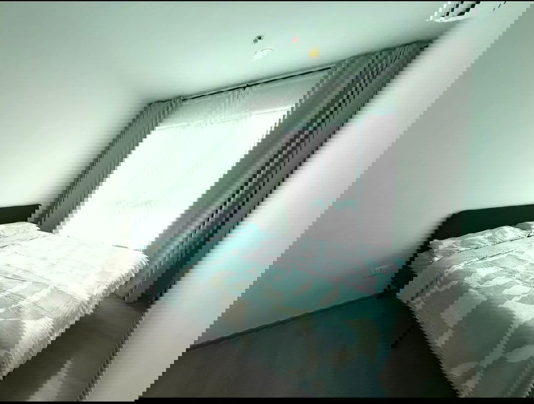 รูป Regent Home Bangna | 9,000 บาท/เดือน | ใหม่แต่งครบ วิวแยกบางนา ใกล้ BTS บางนา 300 ม. - รูปที่ 1/13