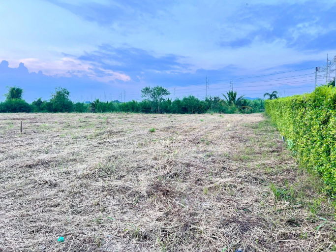 รูป 🟢For Sale🟢ขายด่วนที่ดินสวยๆทำเลดี ที่ หัวหิน ซอย 112 📱ADD LINE @nathong97 (ตอบ ⚡ 24 Hr) AV03 - รูปที่ 6/9