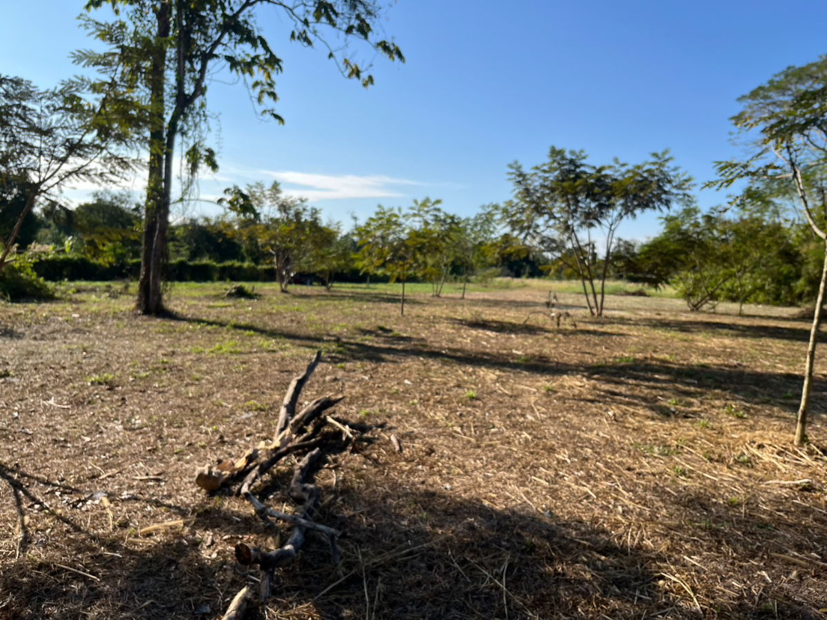 รูป ขายที่ดิน 8 ไร่ 360 ตารางวา ถมแล้วเต็มพื้นที่ ติดถนนหลักสาริกม เขื่อนขุนด่าน ขายถูก - รูปที่ 16/29