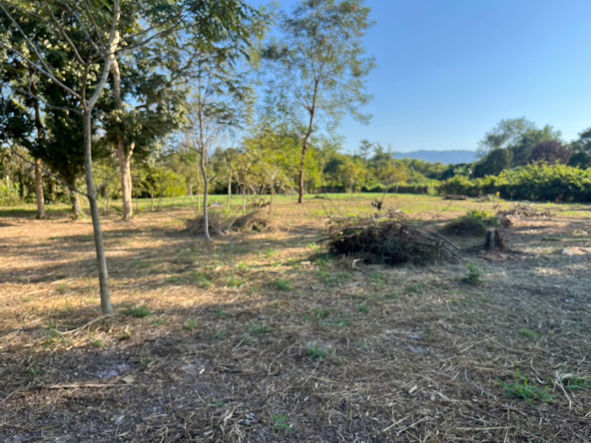 รูป ขายที่ดิน 8 ไร่ 360 ตารางวา ถมแล้วเต็มพื้นที่ ติดถนนหลักสาริกม เขื่อนขุนด่าน ขายถูก - รูปที่ 14/29