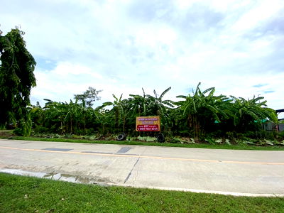 ที่ดิน ม.ราชภัฏสวนสุนันทา ศาลายา : ขายที่ดินแปลงสวย เจ้าของขายเอง 227 ตรว. อ.บางใหญ่ นนทบุรี