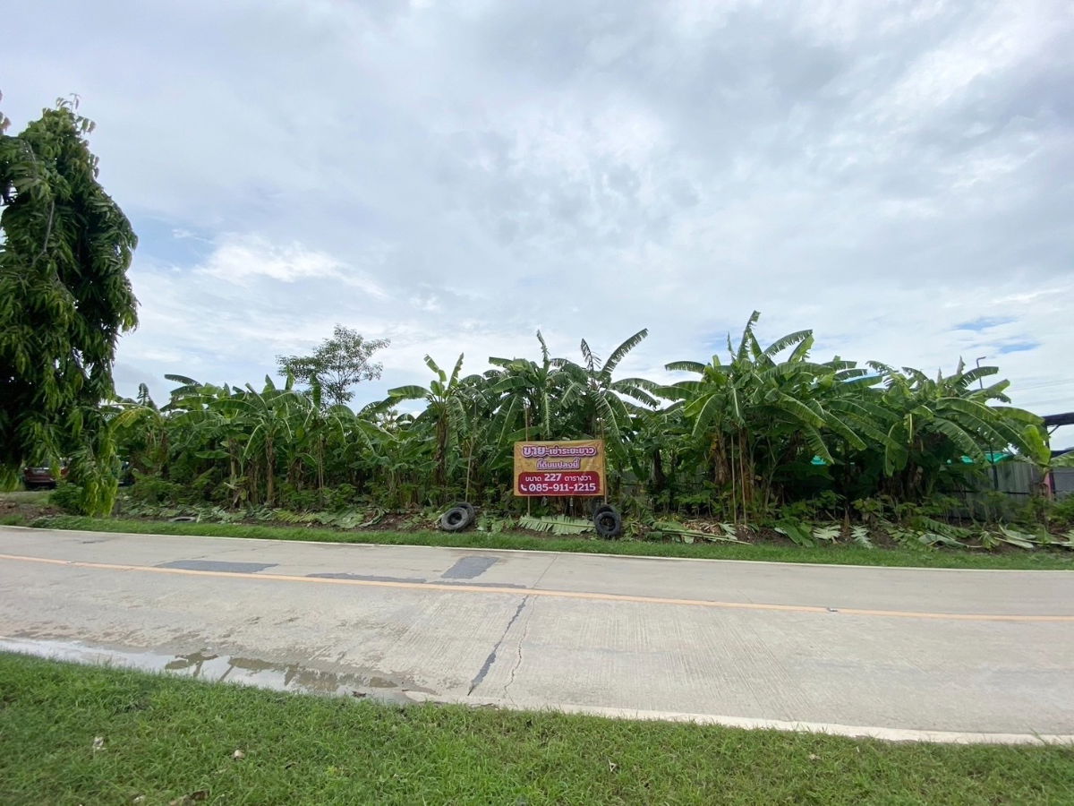 รูป ขายที่ดินแปลงสวย เจ้าของขายเอง 227 ตรว. อ.บางใหญ่ นนทบุรี - รูปที่ 1/5