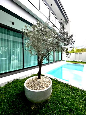 Houses for rent Chiang Mai-Hang Dong Road : 4-bedroom pool villa for rent with an office + home office, near Kad Farang, only THB 80,000.