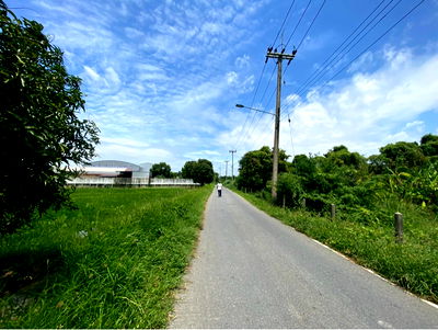 Land for sale In Buri Singburi : Land for Sale, 8 Rai (approx. 12,800 sq.m.)