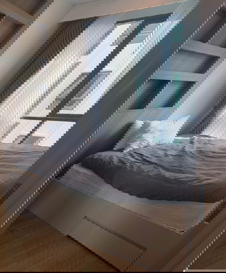 รูป #A124267 ✅ 3/1/69  ให้เช่า BRIXTON Pet & Play Sukhumvit 107📲📢สอบถาม ld line @condoboy - รูปที่ 1/8