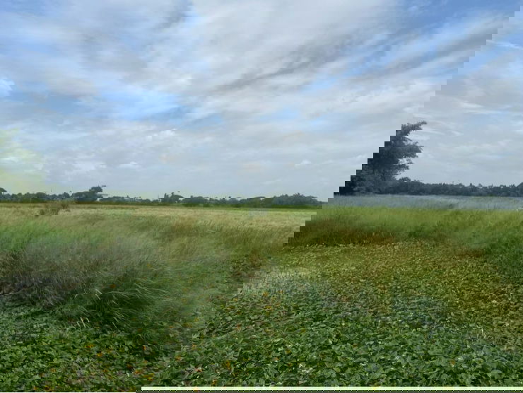 picture Land for Sale, 8 Rai (approx. 12,800 sq.m.) - 5/9