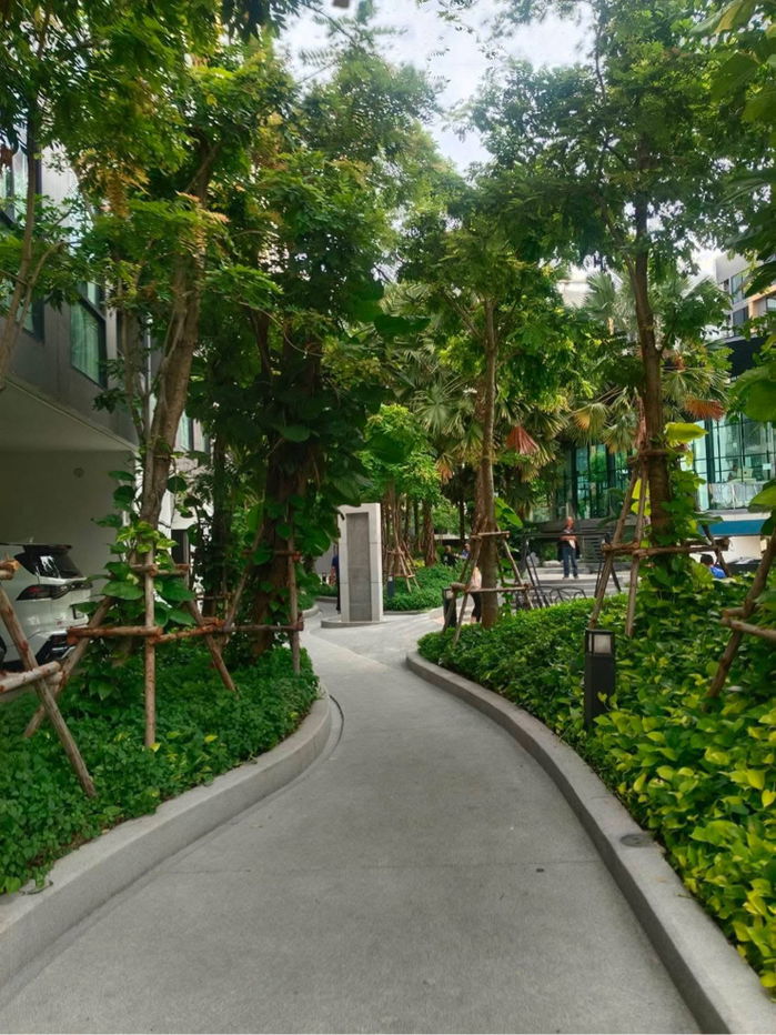 รูป ปล่อยเช่าคอนโดBangkok Horizon Lite@ P48 Station#ใกล้MRTเพชรเกษม48 - รูปที่ 14/14