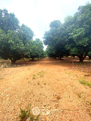 Land for sale Phrao Chiang Mai : 16,000 m² Land for Sale in Wiang (ID 2511708)