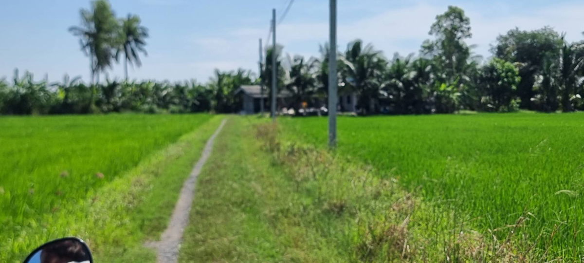 รูป ขายที่ดินลาดกระบัง 1 ไร่ (2 แปลง) ทับยาว ใกล้ขนส่งพื้นที่ 4 และมอเตอร์เวย์ แปลงมุมติดคลอง ทำเลทองใกล้สุวรรณภูมิ - รูปที่ 7/11