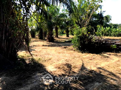 ที่ดิน ไปรษณีย์หางดง  : ที่ดินสำหรับปล่อยขาย 6,800 ตารางเมตร แถว ใน ขุนคง (ID 2503412)