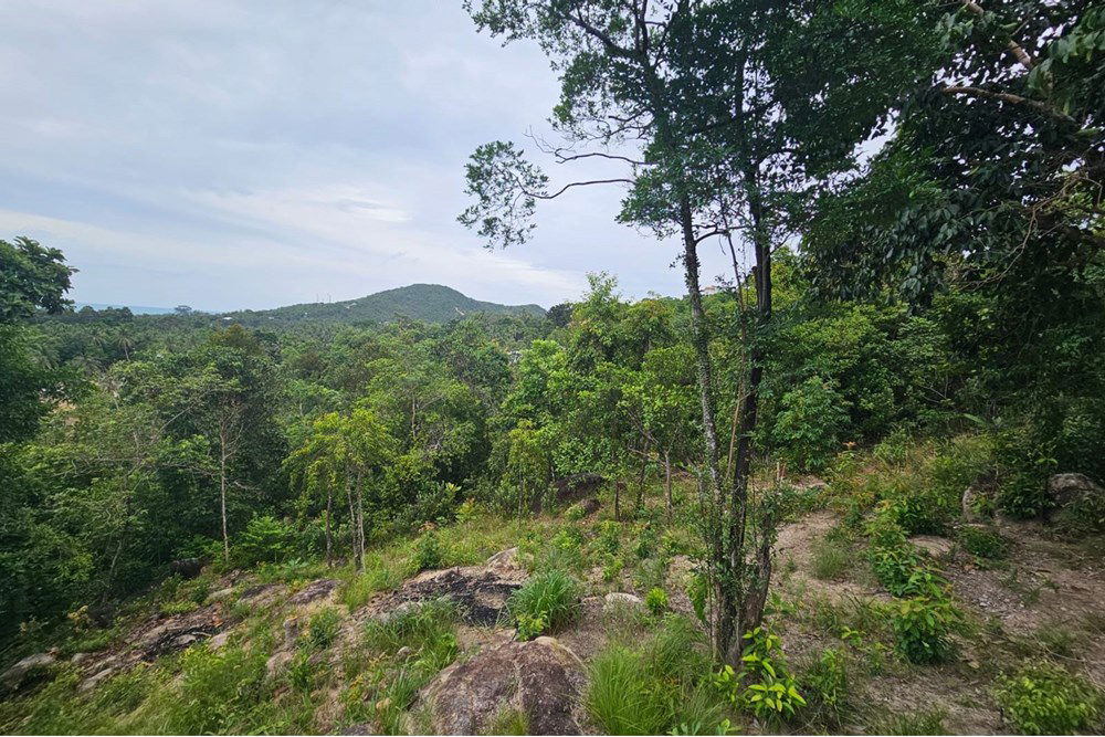 รูป [920621004-134] ขายที่ดิน 2 ไร่ พร้อมวิวทะเล ศรีธนู - ไร่ละ 8 ล้านบาท - รูปที่ 10/13