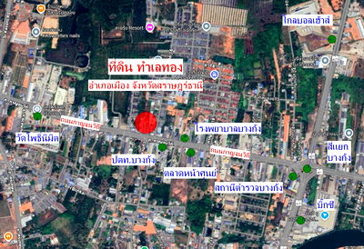 ที่ดิน สหไทยการ์เด้น พลาซ่า สุราษฎร์ธานี : ขายที่ดิน ทำเลทอง เหมาะสำหรับสร้าง ตึกแถว, อาคารพาณิชย์, ทาวน์เฮาส์, บ้านเดี่ยว, โรงงาน, โกดังสินค้า ที่ตั้ง ตำบลบางกุ้ง