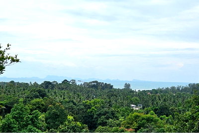 Land for sale Ko Phangan Surat Thani : [920621004-134] Land for Sale - 2 Rai with Sea View in Sri Thanu - 8M THB per Rai