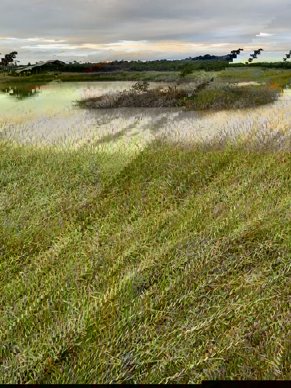 รูป ขายที่ดินเปล่า เลาขวัญ กาญจบุรี เนื้อที่ 20 ไร่ 310 ตร.ว. - รูปที่ 3/6