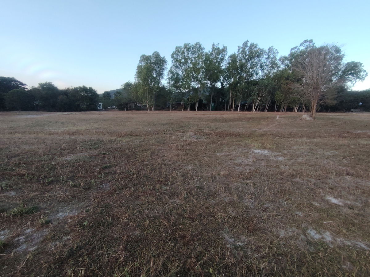 รูป ขายที่ดินวิวเขาสวยแปลงหัวมุมขนาด 1-0-82.4 ไร่ ใกล้สนามกอล์ฟแบล็คเมาน์เทน! - รูปที่ 3/10