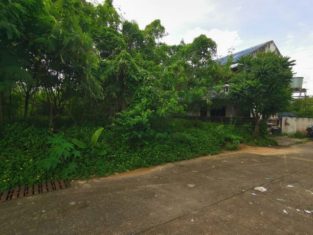 รูป BP00869 ขายที่ดินว่างเปล่า ตำบลในเมือง อำเภอเมืองอุบลราชธานี อุบลราชธานี - รูปที่ 6/8