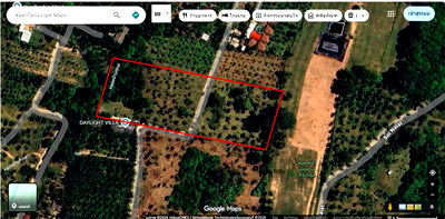 เช่าที่ดิน สุราษฎร์ธานี : ให้เช่าที่ดินระยะยาว เนื้อที่ 4 ไร่ 