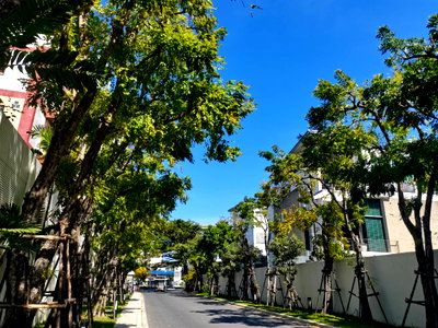 คอนโดให้เช่า : Available for rent! The Room Ratchada-Ladprao. 1 Bedroom with corner unit 45sqm size, Cozy living with only 500 meters from MRT station.