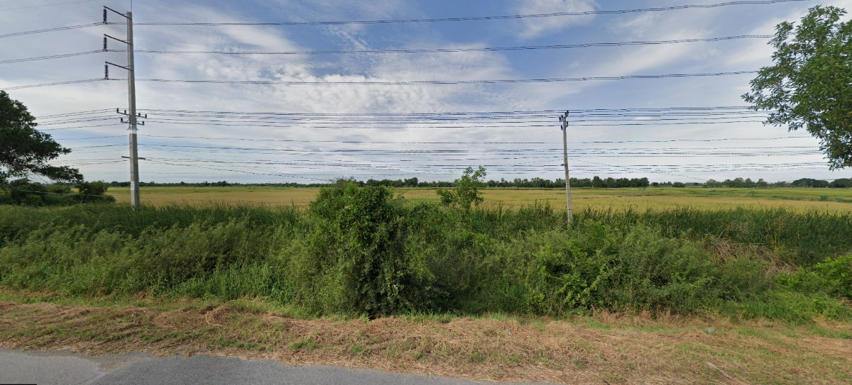 รูป ✅ขายที่ดิน 76ไร่ พื้นที่สีม่วง หน้ากว้าง 330ม. ถนน340 บางบัวทอง-สุพรรณบุรี กม.51 ตำบล องครักษ์ อำเภอบางปลาม้า สุพรรณบุรี - รูปที่ 3/6