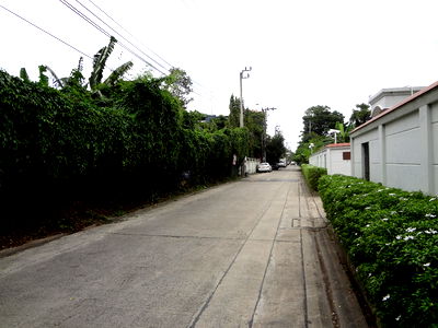 ที่ดิน วิทยาลัยพยาบาลบรมราชชนนีบำราศนราดูร : ที่ดินชินเขตงามวงศ์วาน47หลักสี่พื้นที่1งาน51ตารางวาออกประชาชื่น วิภาวดี นอร์ทปาร์คได้ ใก้ลร.ร.ราชวินิจ เดอะมอลล์รถไฟฟ้าสถานีศูนย์ราชการ เหมาะปลูกบ้าน