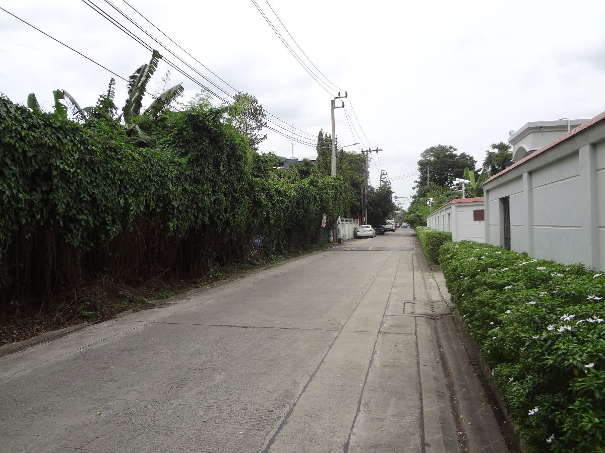 รูป ที่ดินชินเขตงามวงศ์วาน47หลักสี่พื้นที่1งาน51ตารางวาออกประชาชื่น วิภาวดี นอร์ทปาร์คได้ ใก้ลร.ร.ราชวินิจ เดอะมอลล์รถไฟฟ้าสถานีศูนย์ราชการ เหมาะปลูกบ้าน - รูปที่ 1/8