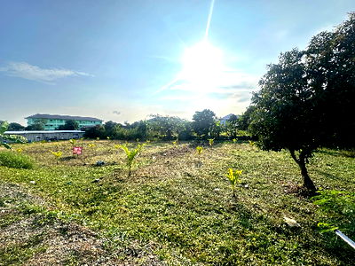 เช่าที่ดิน ม.ราชพฤกษ์ : ให้เช่าที่ดิน 300 ตารางวา บางขนุน บางกรวย นนทบุรี