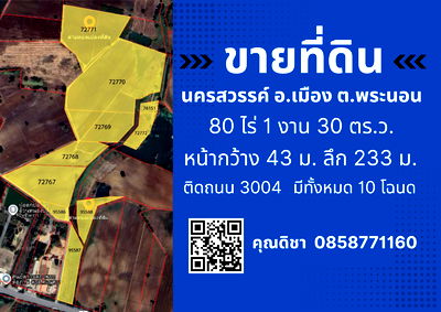 Land for sale Muang Nakhon Sawan Nakhon Sawan : Land for sale, 80 rai 1 ngan 30 square wah, Nakhon Sawan.