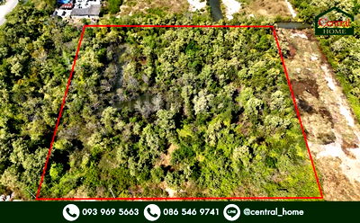 ที่ดิน นิคมที เอฟ ดี 2 : ที่ดินเปล่า 4 ไร่ แบ่งขายได้แปลงละ 1 ไร่ บางปะกง - ฉะเชิงเทรา ราคาถูก